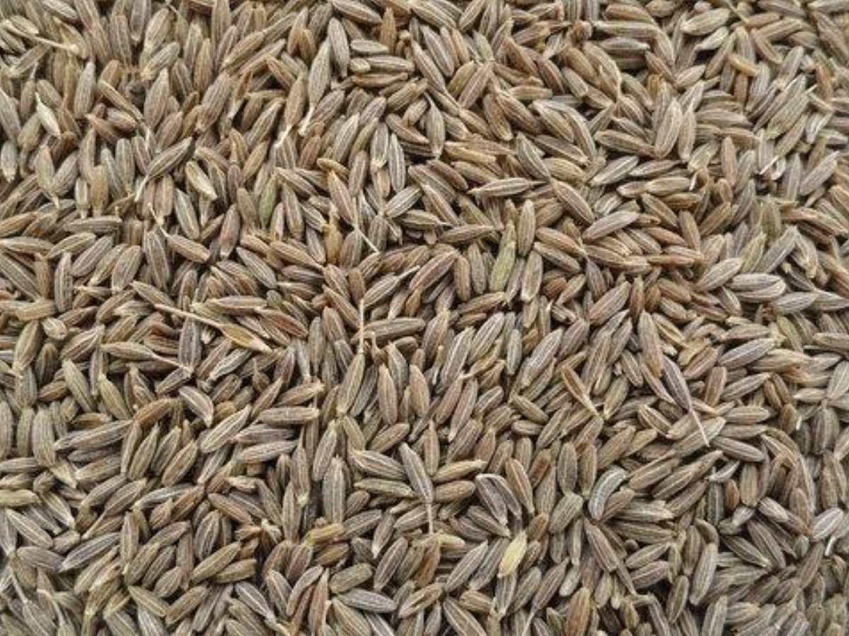 Sesame seeds